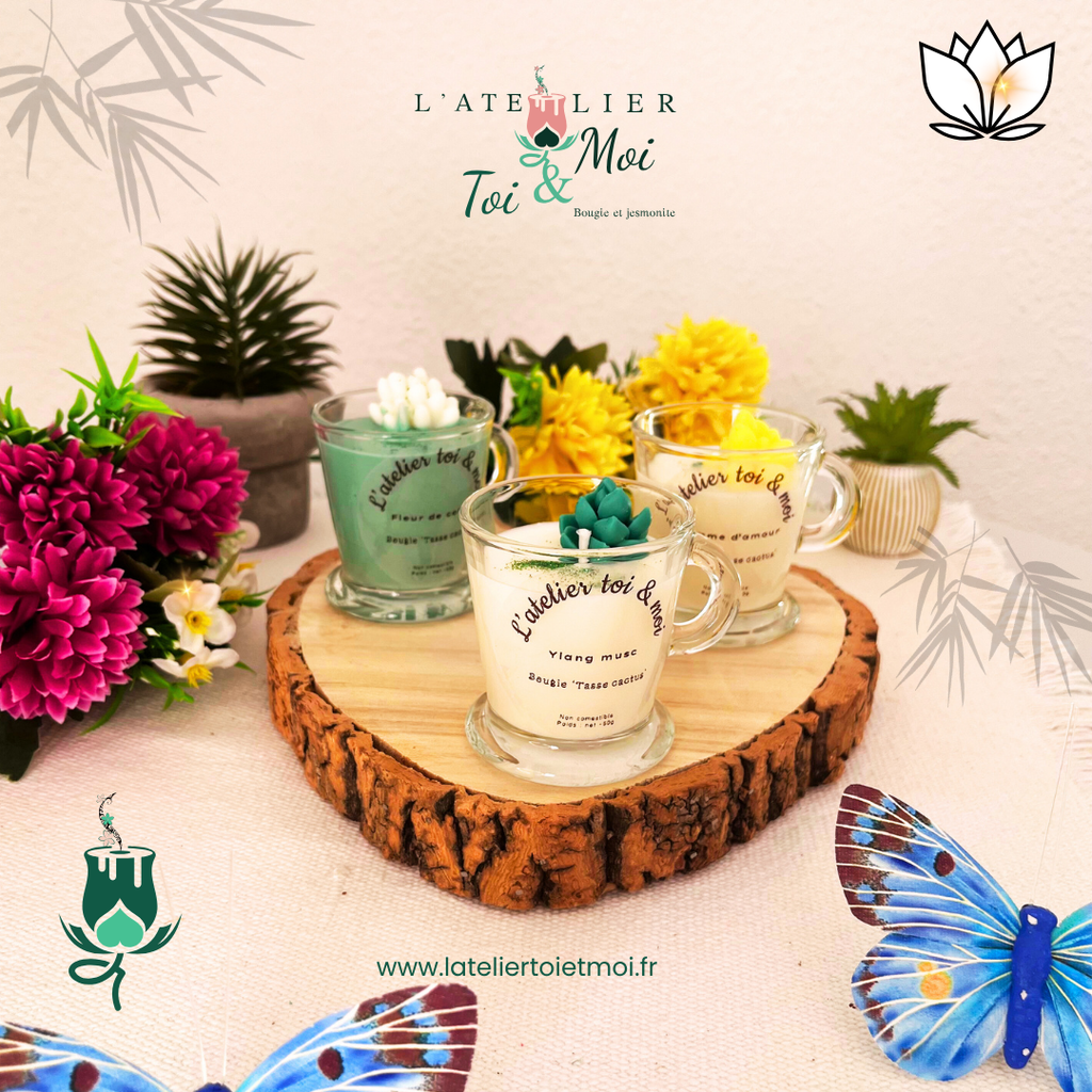 Bougie Tasse Cactus
