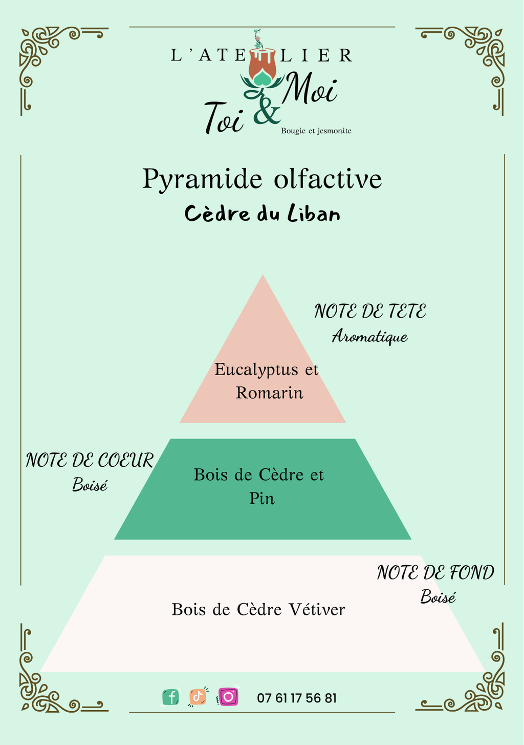Pyramide olfactive parfum Cèdre du liban 